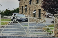 Traditional Gate 008